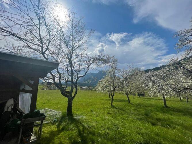 Holiday Home, Soell Esterno foto