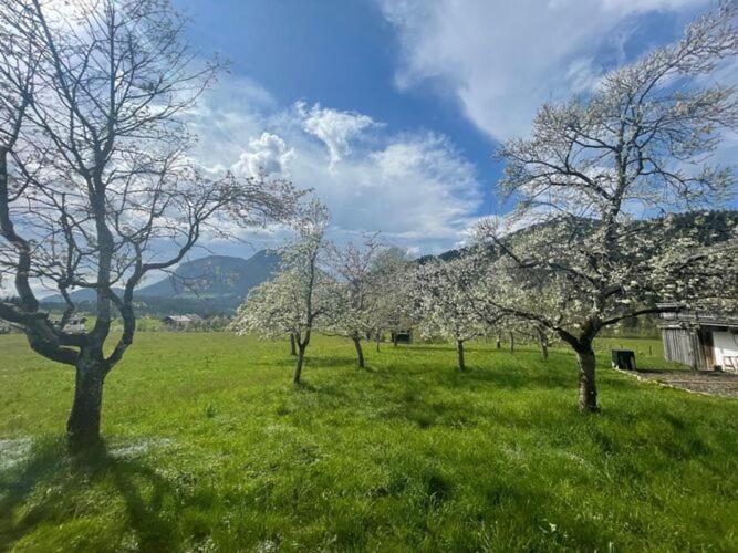 Holiday Home, Soell Esterno foto